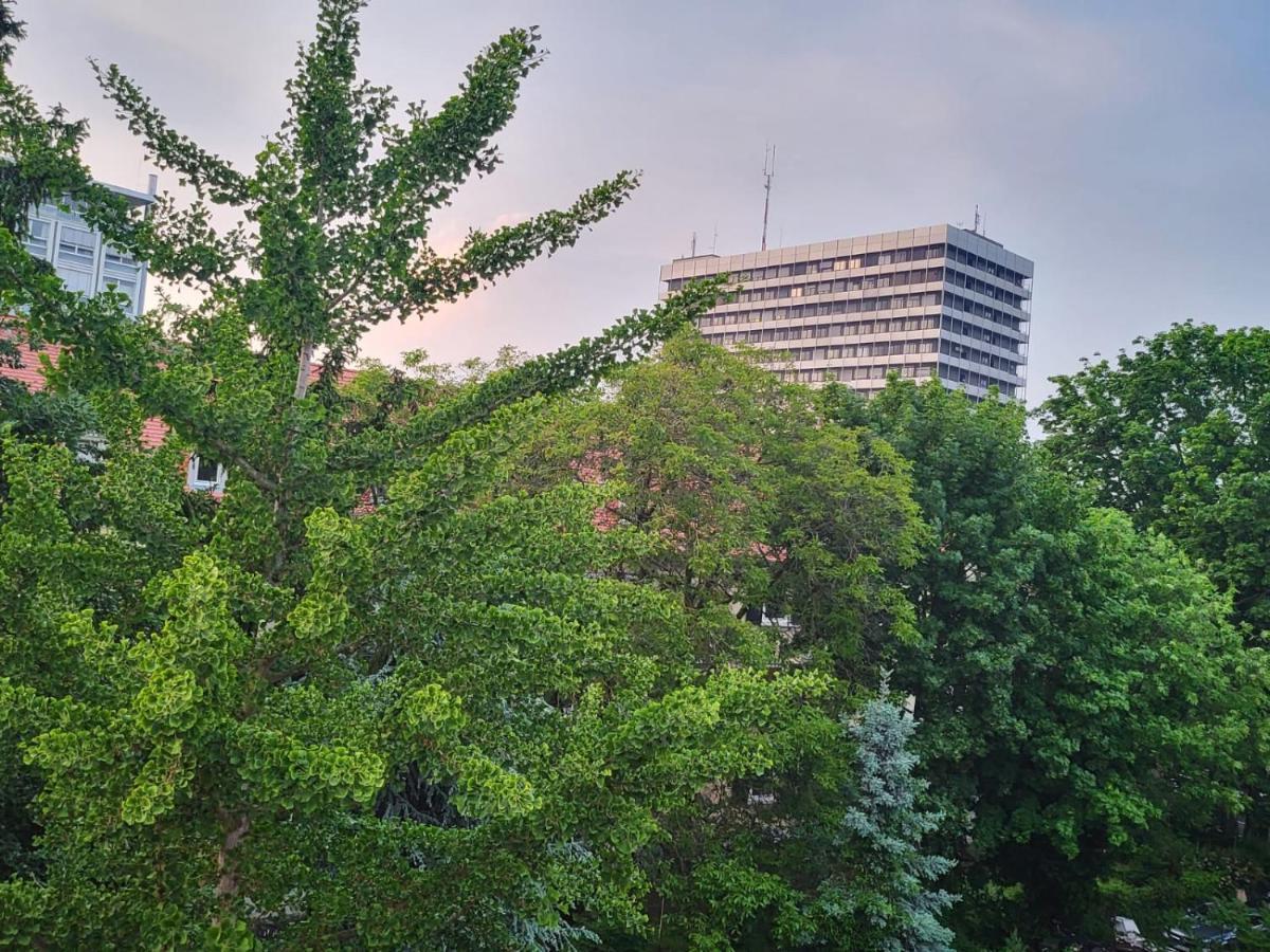 Privatzimmer An Der Uniklinik Mainz - Nur Fuer Weibliche Gaeste Exterior foto