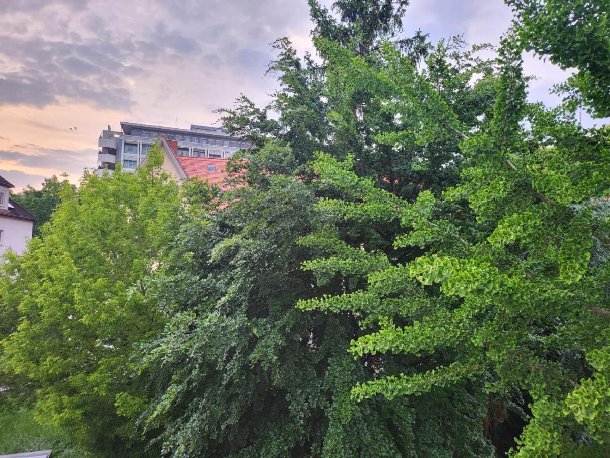 Privatzimmer An Der Uniklinik Mainz - Nur Fuer Weibliche Gaeste Exterior foto